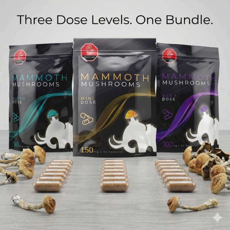 Alternative view of The Microdose Capsule Bundle