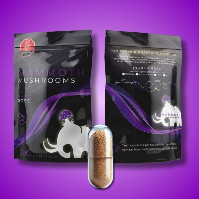 Alternative view of Psilocybin Microdose Capsules – 300mg x 20