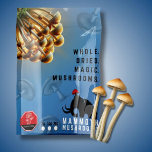 Dried Magic Mushrooms 14g - Full Moon Party