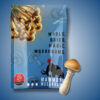 Dried Magic Mushrooms 14g - Hillbilly