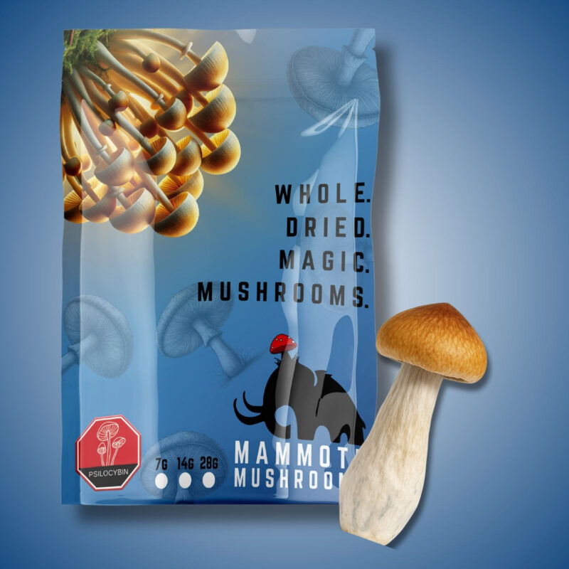 Dried Magic Mushrooms 28g - Penis Envy