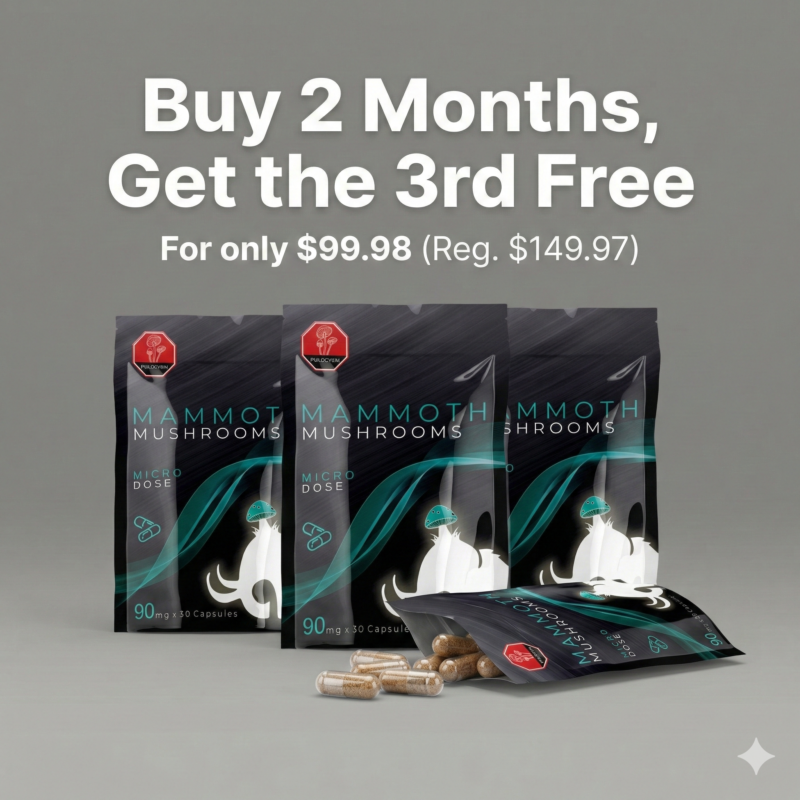 The 3-Month Microdose Protocol